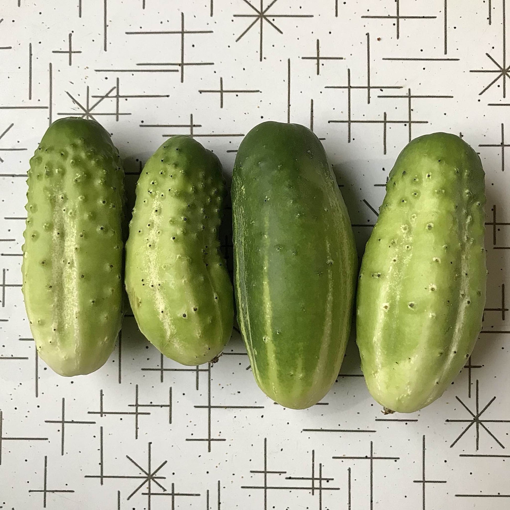 green dragon pickle cucumbers