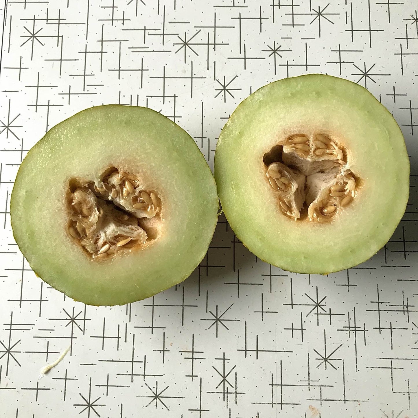 interior of a green kherson market melon