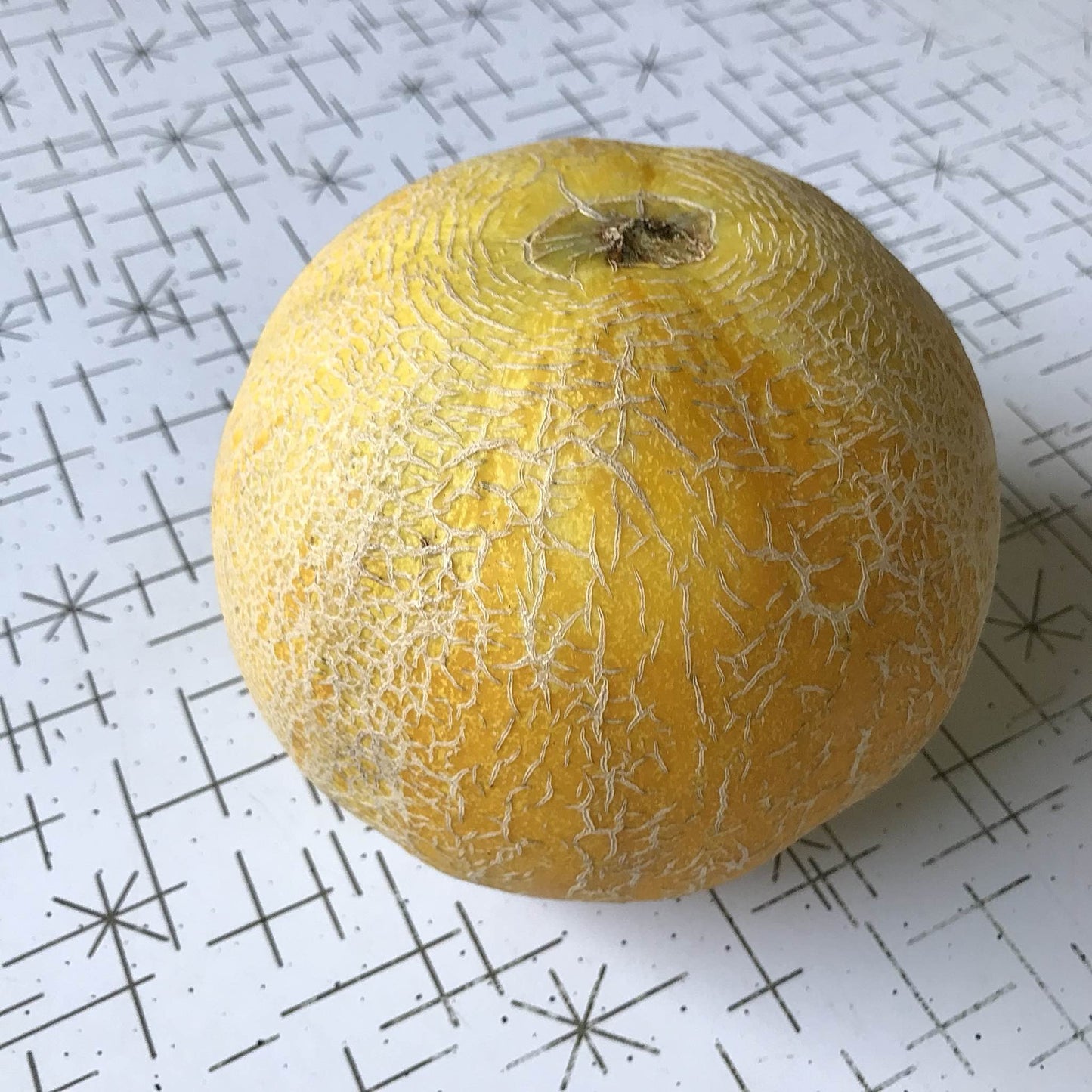 kherson market melon with yellow netted skin