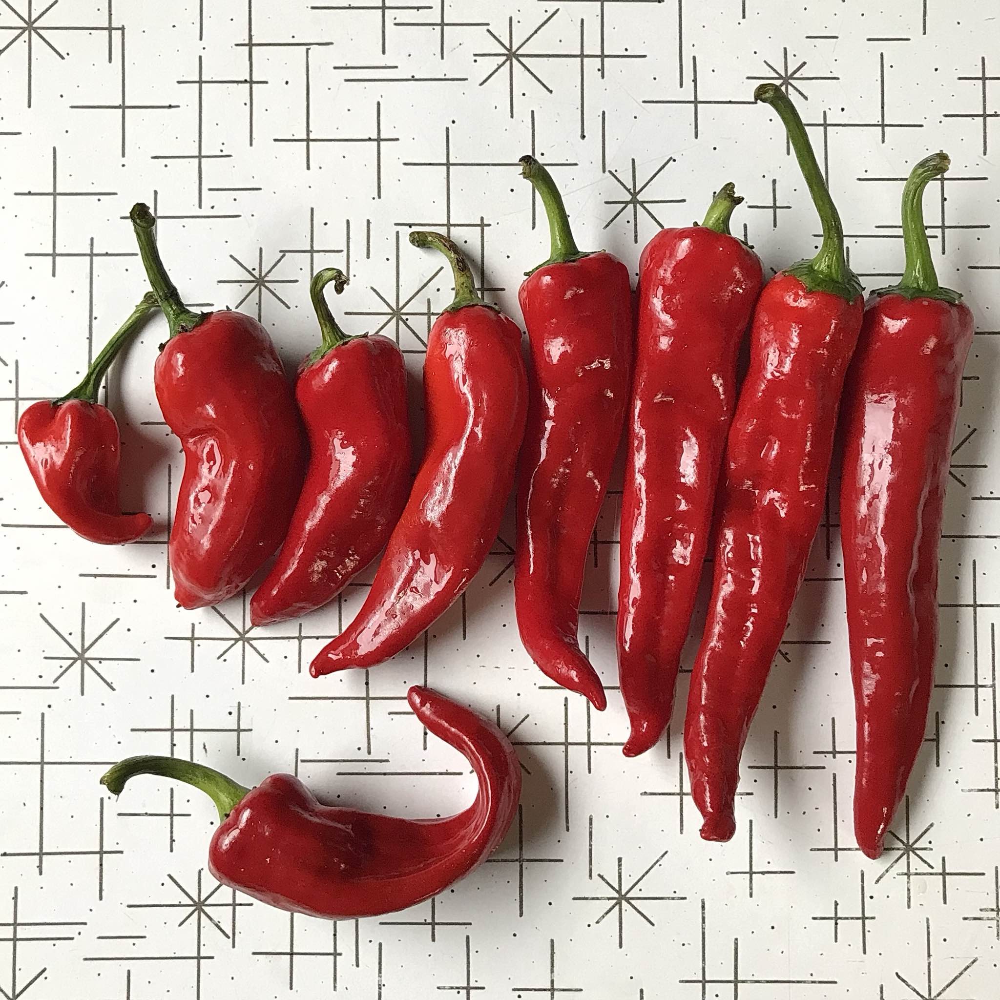 Pepper - Chimayo – No Coast Seeds