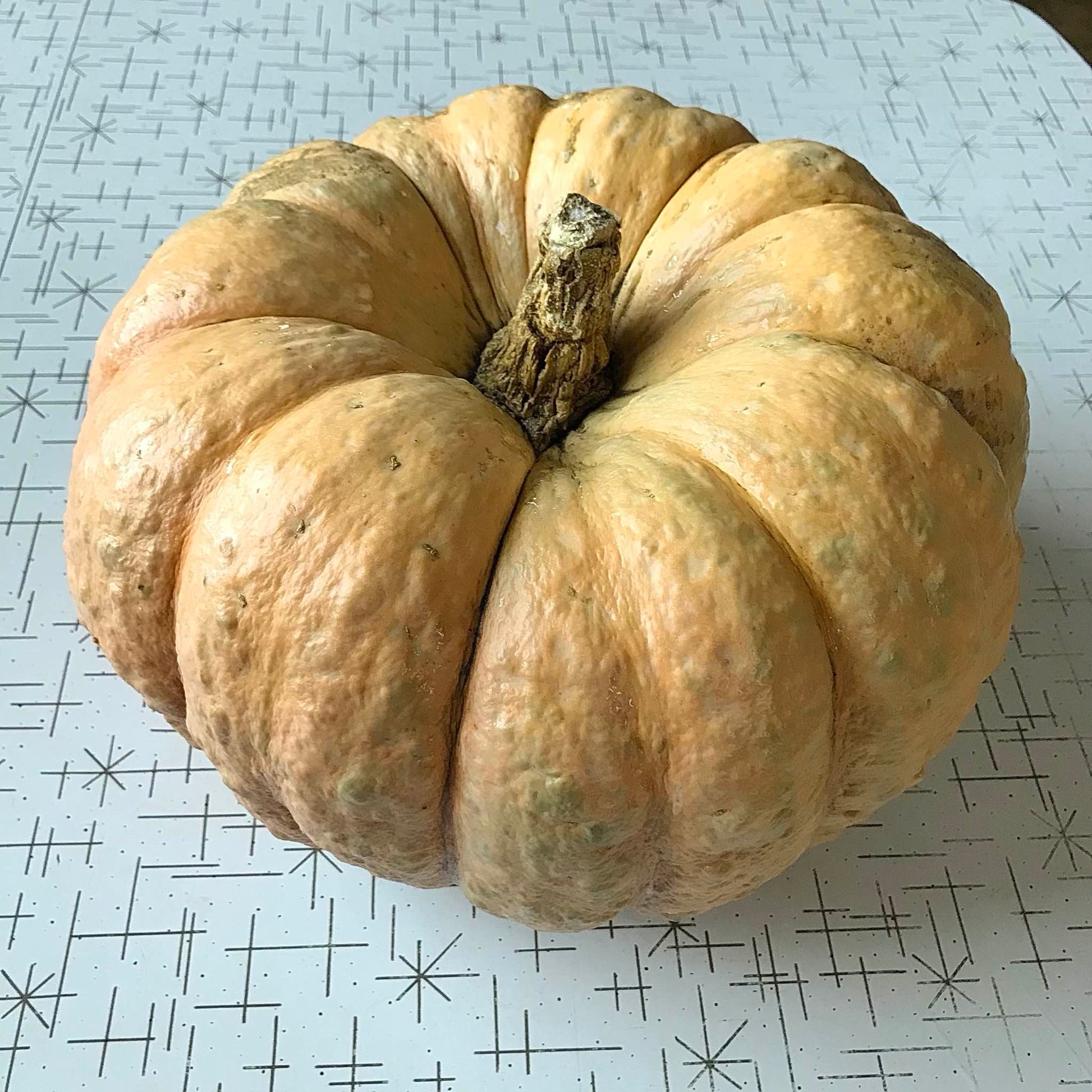 aged mramornaja squash