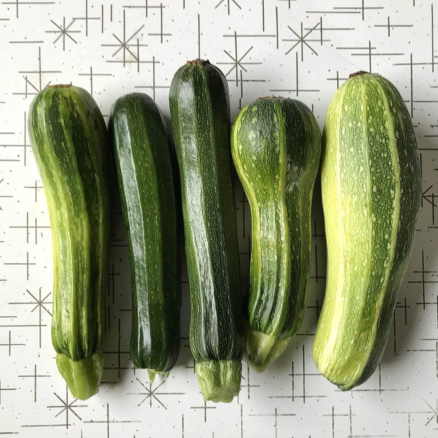 Squash - Zucchini Surprise