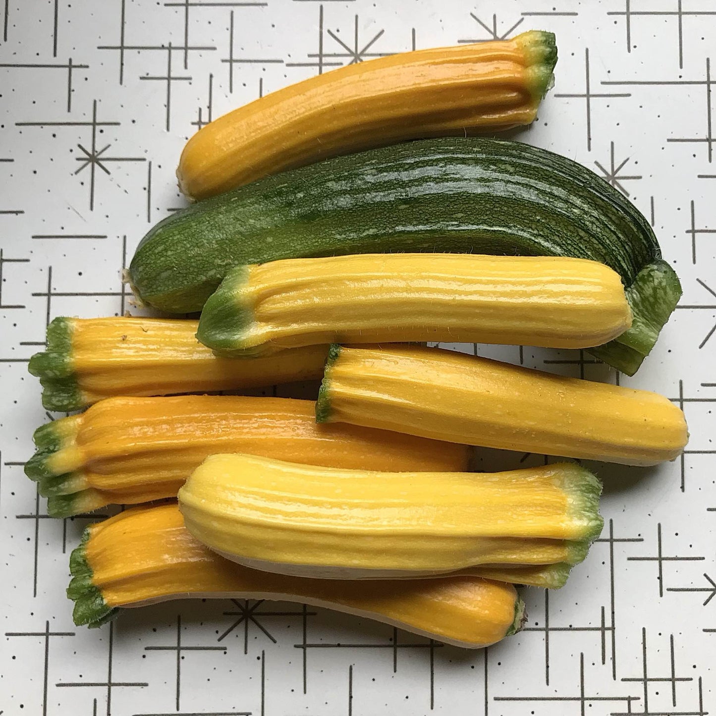 Squash - Zucchini Surprise