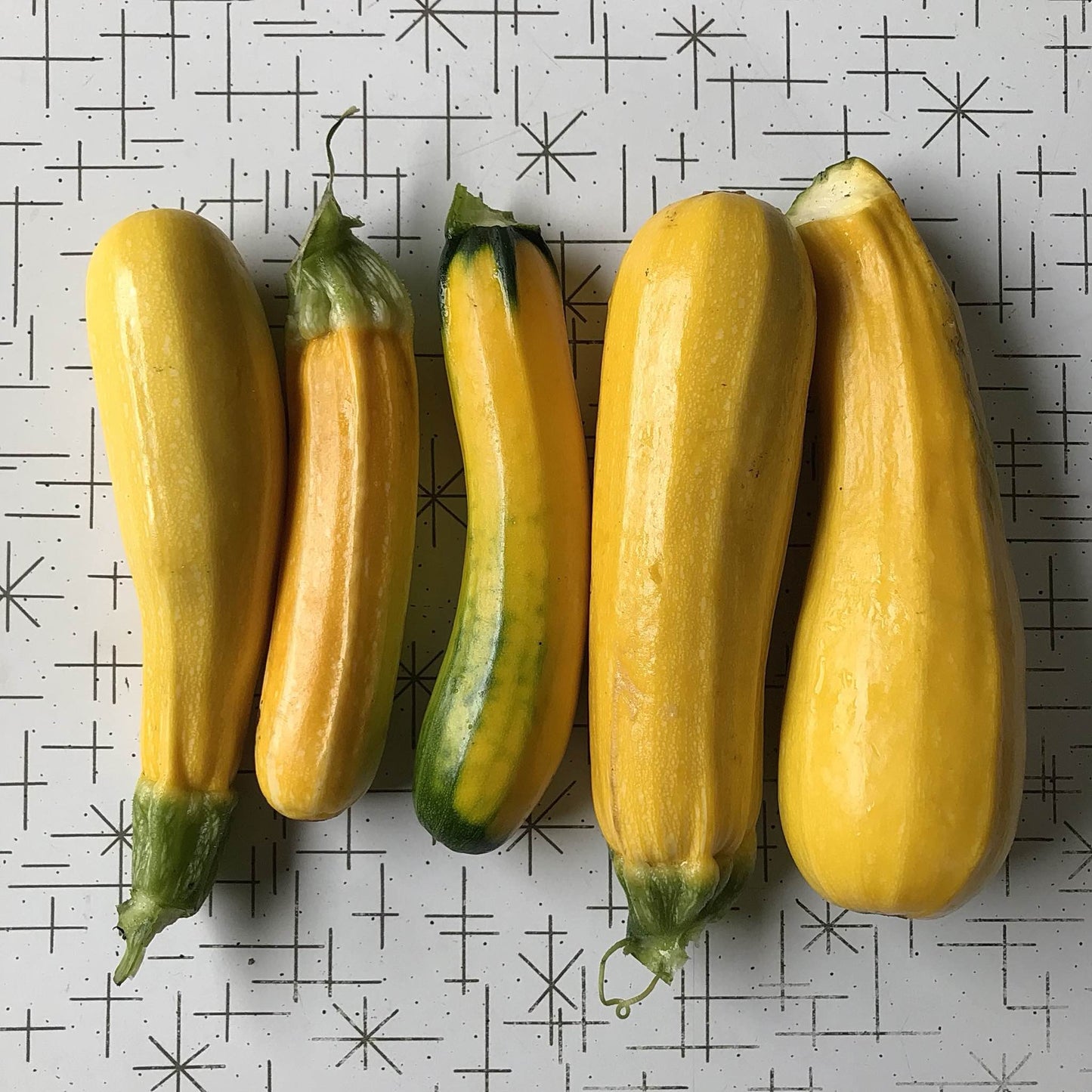 Squash - Zucchini Surprise