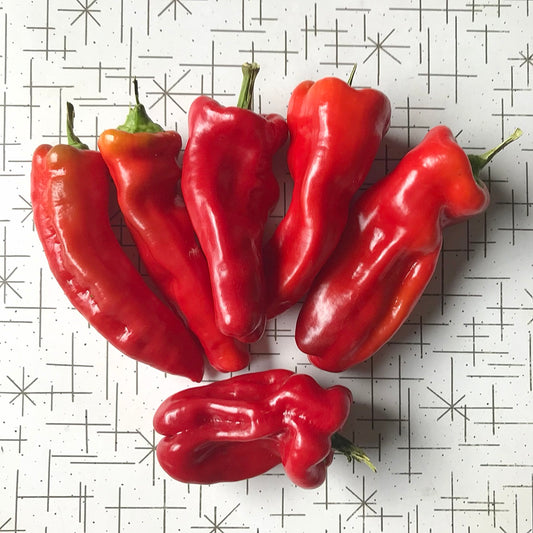 Six red neapolitan peppers on a table looking tasty.