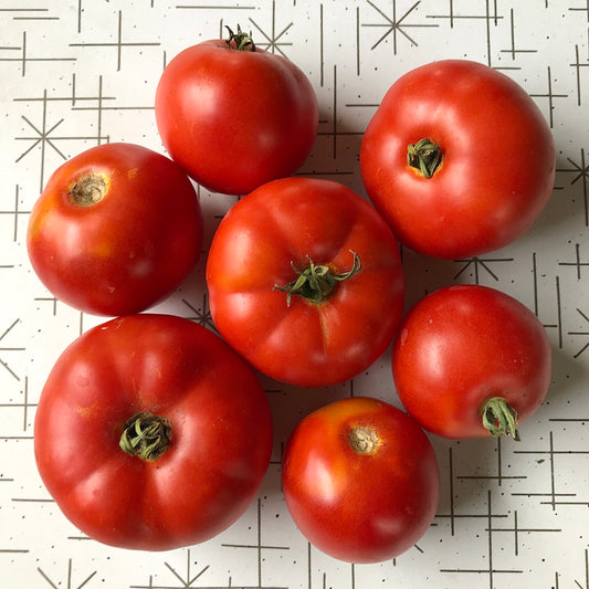 Seven medium sized round red tomatoes on a table.