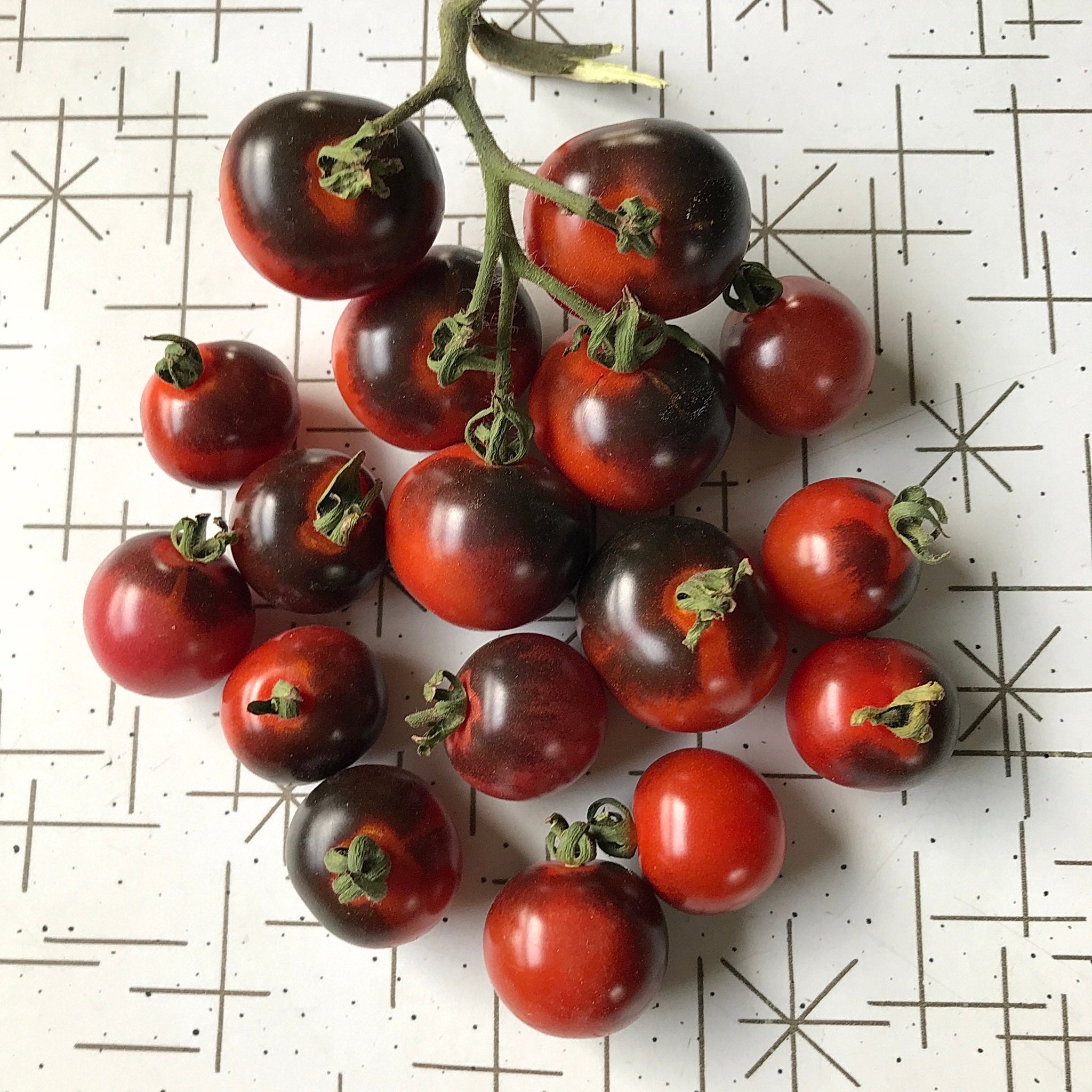 Tomato - Red Ruby Cherry – Coast