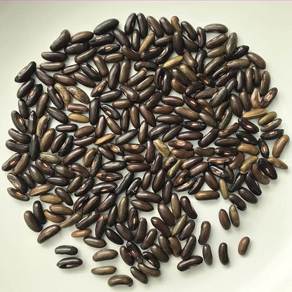 Bean - Kundapura Alsande