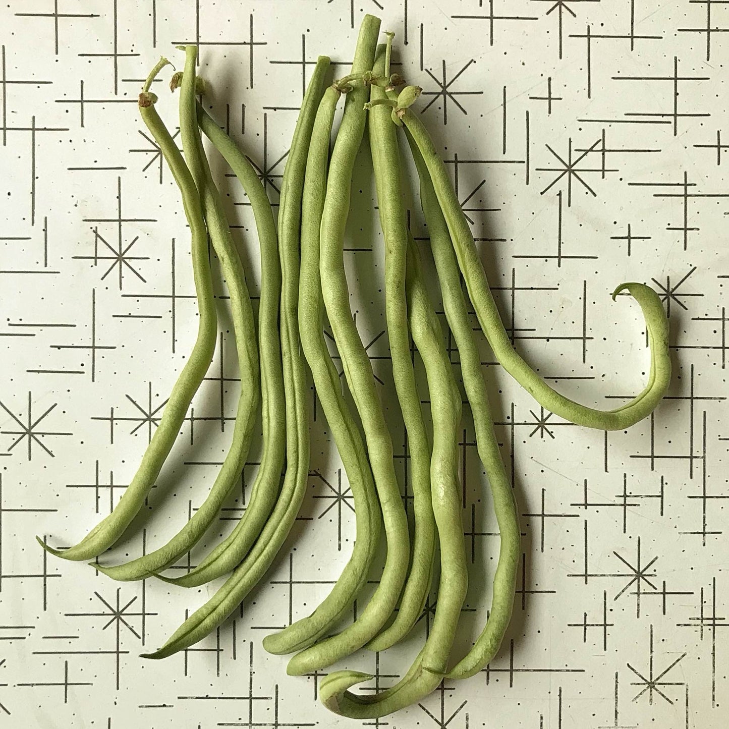 Bean - Kundapura Alsande