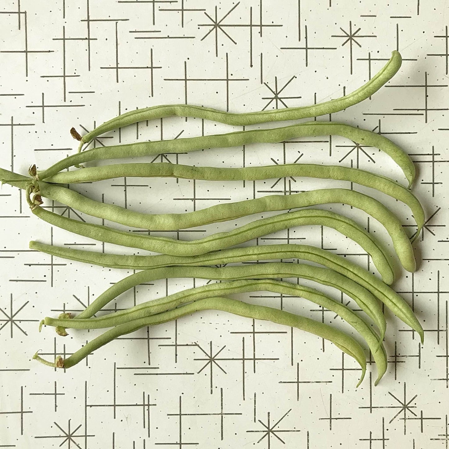 Bean - Kundapura Alsande