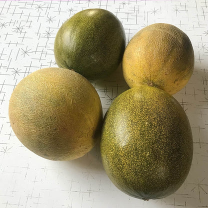 Melon - Kherson Cantaloupe