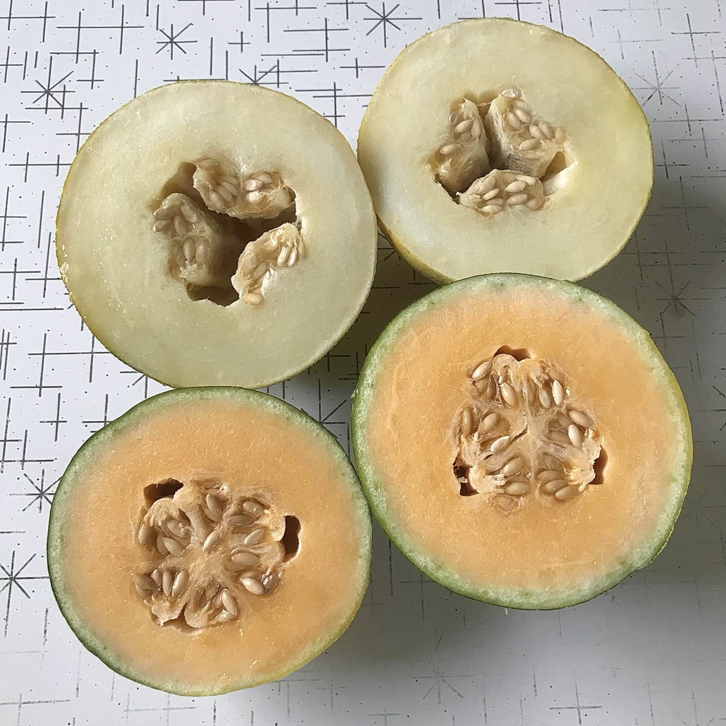 Melon - Kherson Cantaloupe