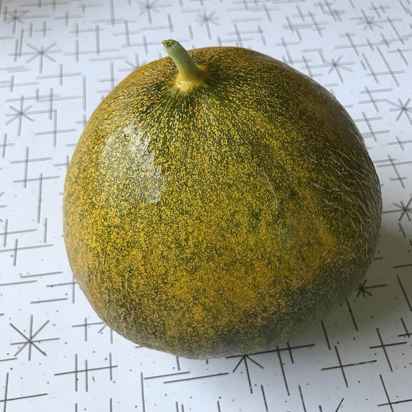 partially netted kherson market melon