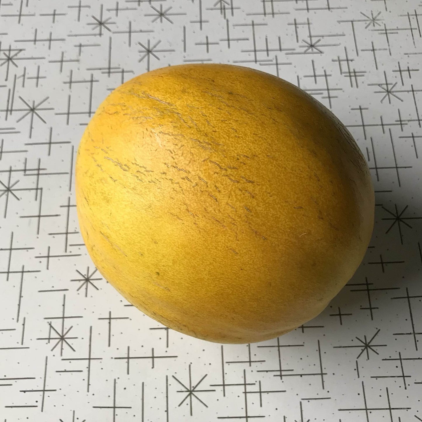 smooth-skinned kherson market melon