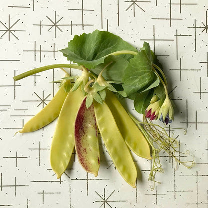 yellow snow pea pods with a sprig of pea shoots