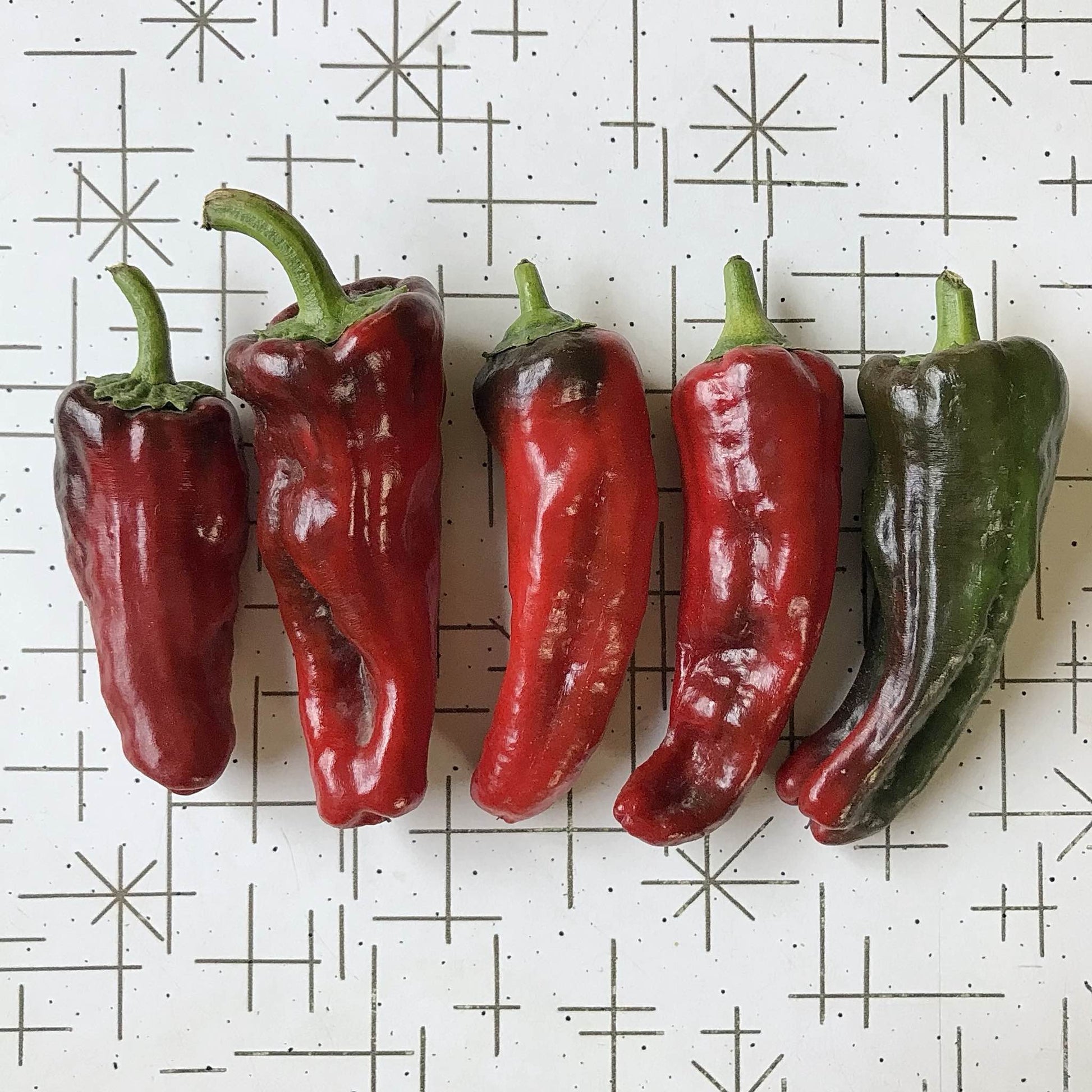 lobed chimayo chile peppers