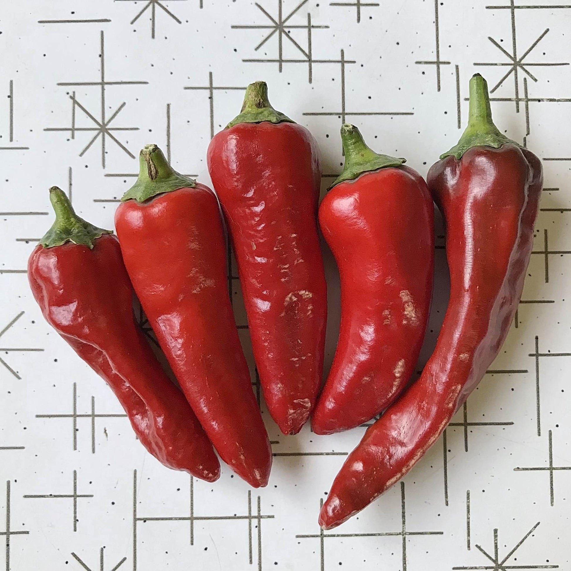 pointy chimayo chile peppers
