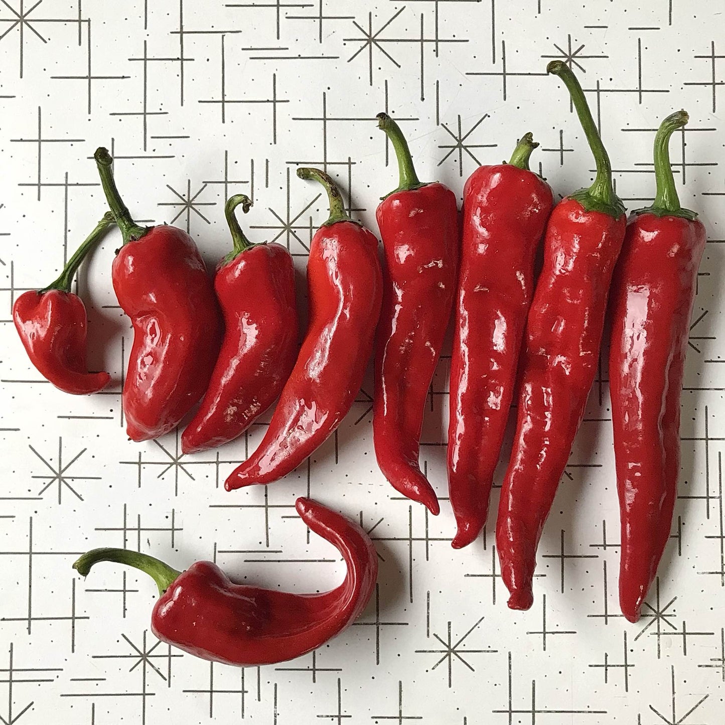 variously sized chimayo peppers