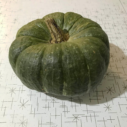 younger mramornaja squash