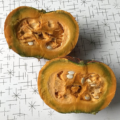 interior of a mature zapallo del tronco squash with hints of green flesh