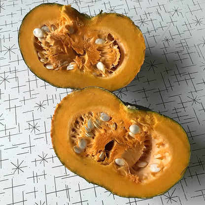 interior of a mature zapallo del tronco squash