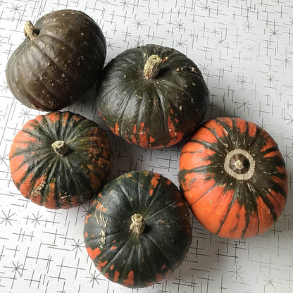 five mature zapallo del tronco squash on a table