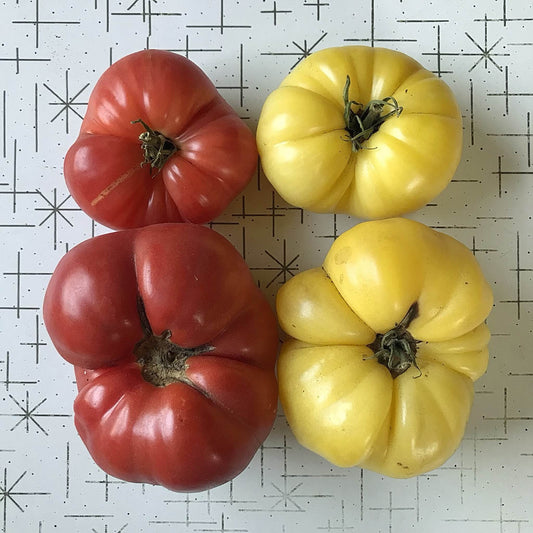 Tomato - Dwarf Star Mix