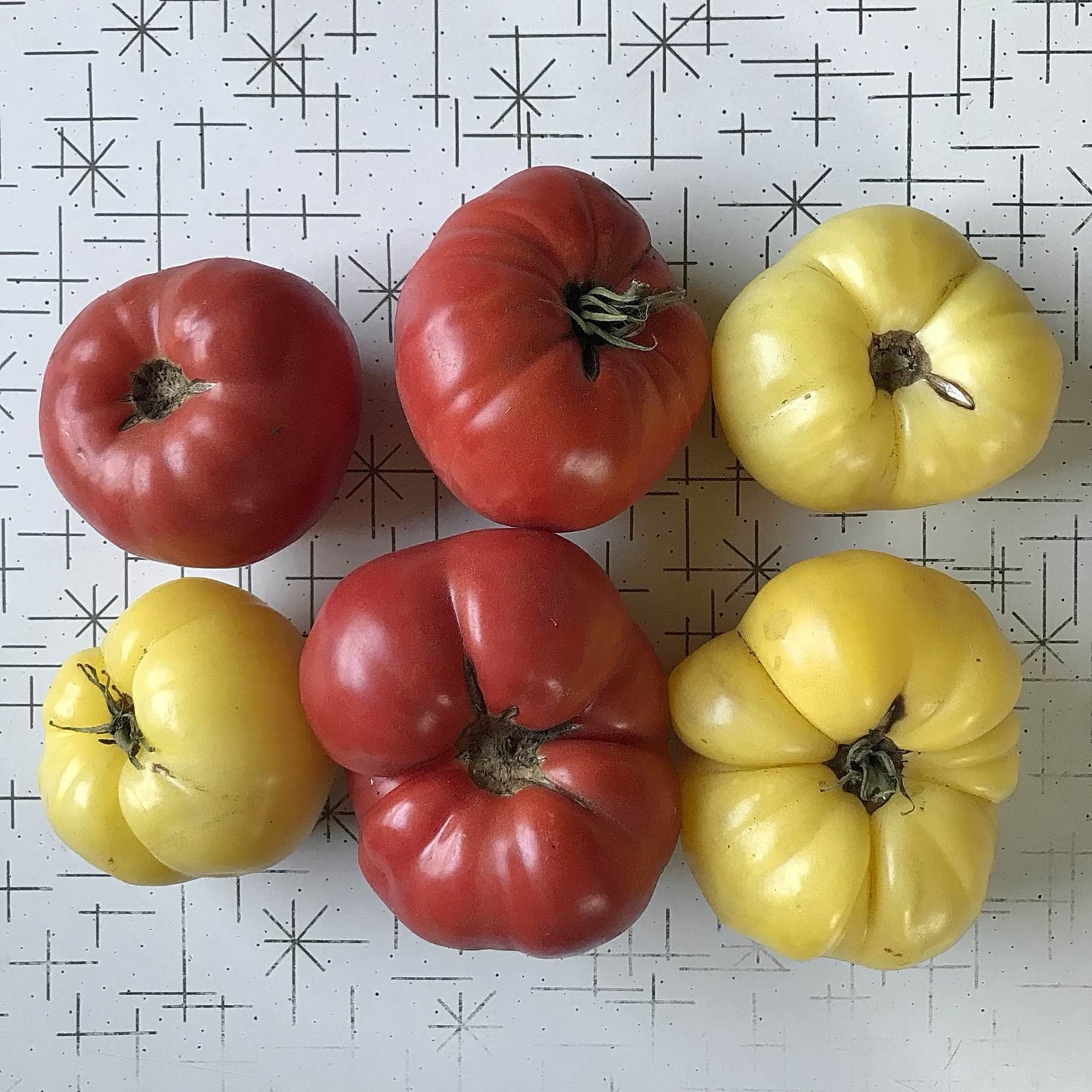 Tomato - Dwarf Star Mix