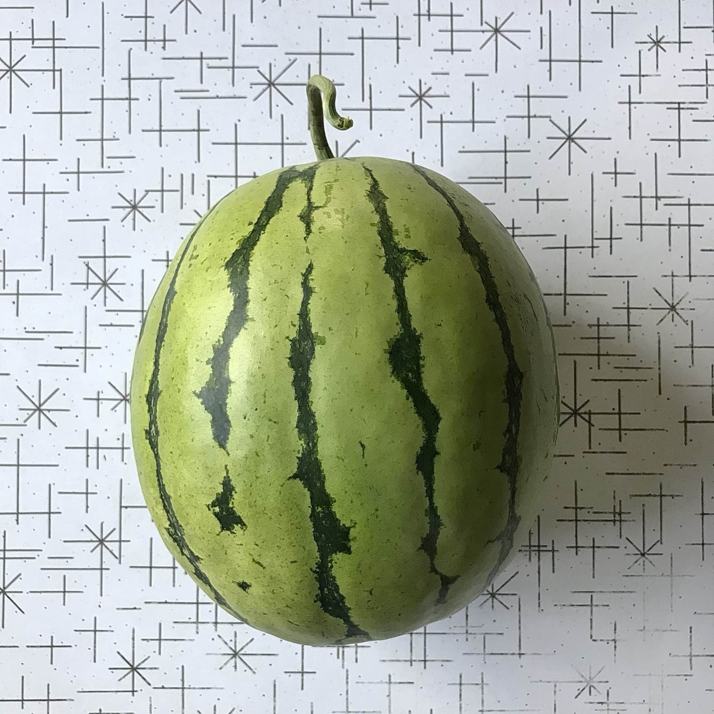 Watermelon - Mount Sugarmoon Mix