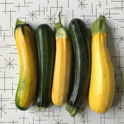 Squash - Zucchini Surprise