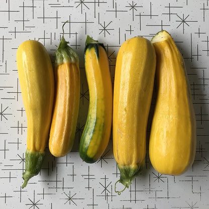 Squash - Zucchini Surprise