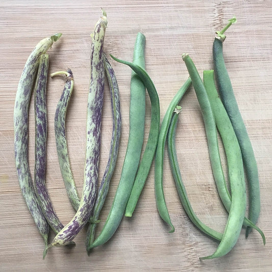 Green and yellow snap bean pods with purple speckles in a row on a cutting board.