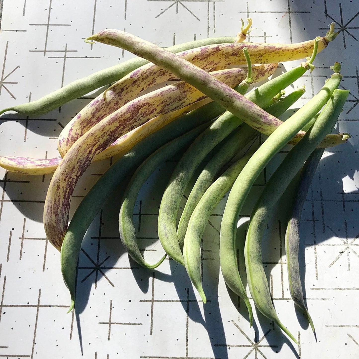 Green and yellow snap bean pods with purple speckles on a table.