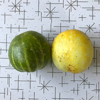 A lemon cucumber and a lime cucumber side by side on a table.