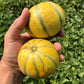 Two softball-sized melons held in one hand.