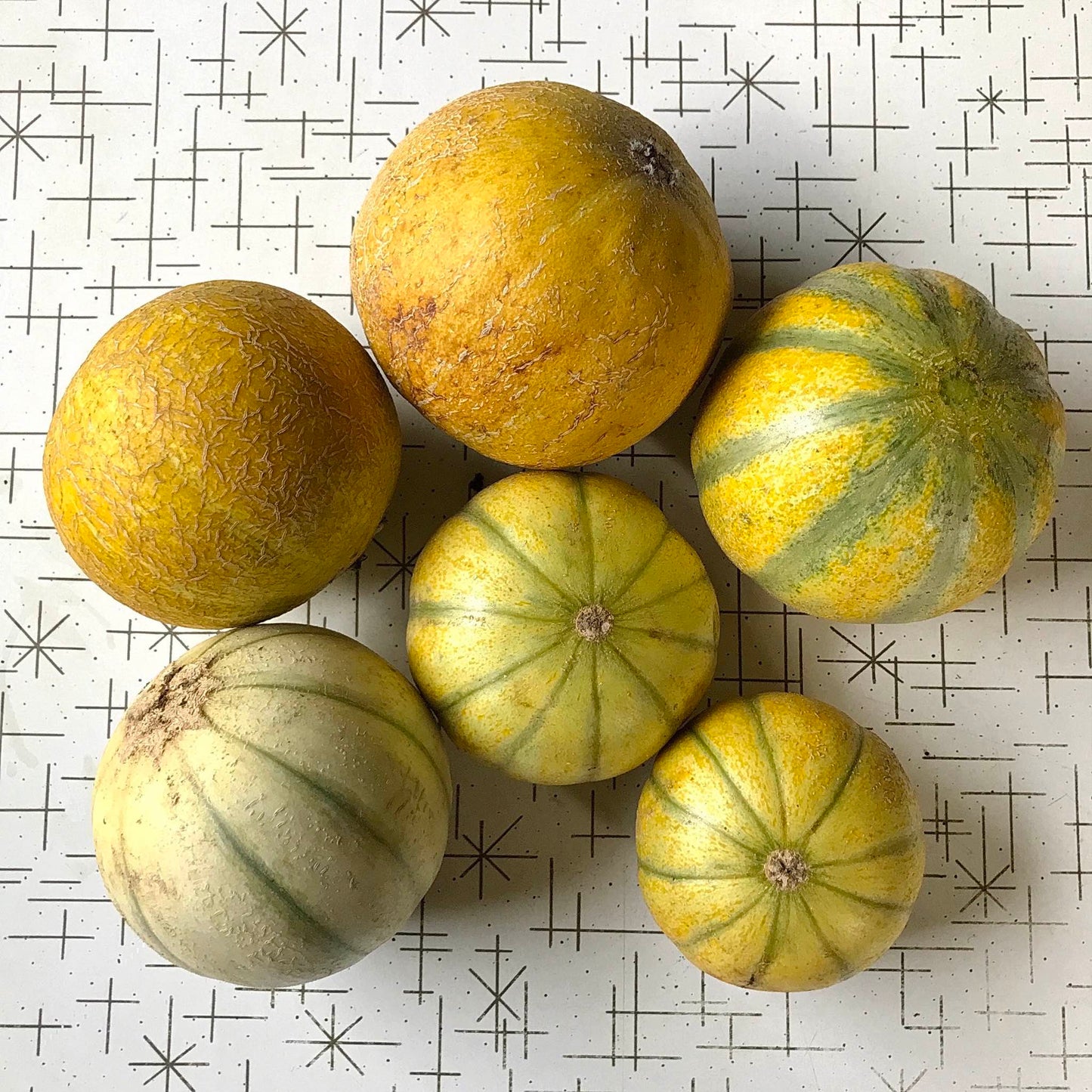 Six melons on a table.