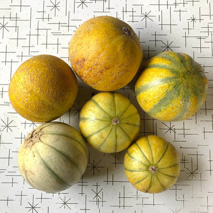 Six melons on a table.