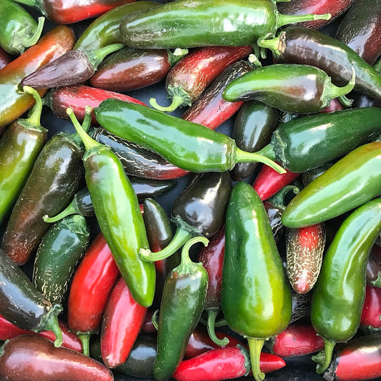 Mix of red and green jalapeño peppers.