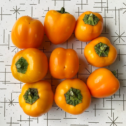 Nine small orange peppers arranged in a square.