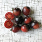Small round red tomatoes with dark anthocyanin shoulders.