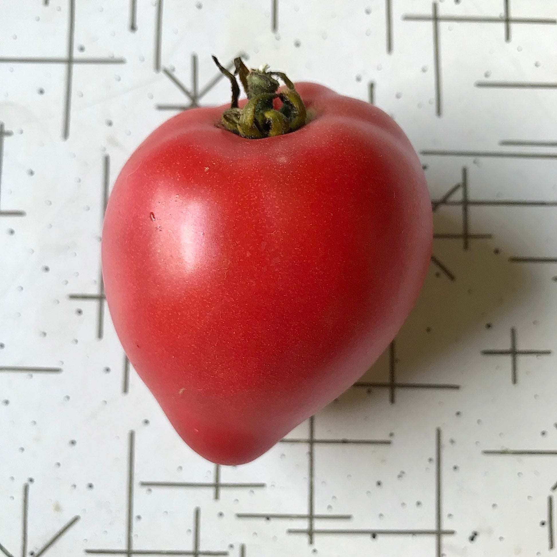 Heart shaped tomato.