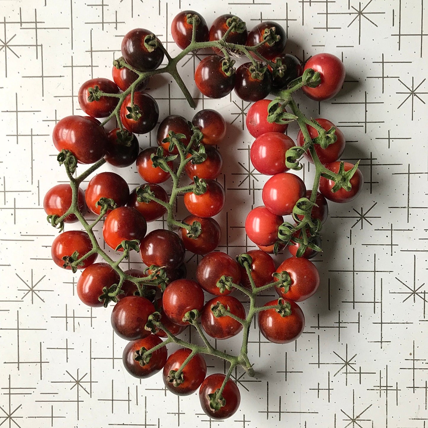 Red cherry tomatoes with antho shoulders still on the vine arranged in a circle.