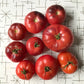 Nine medium sized shiny red tomatoes with light anthocyanin shoulders.
