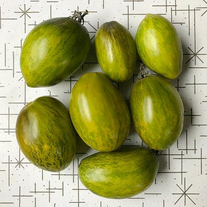 Seven light green roma shaped tomatos with dark green stripes.